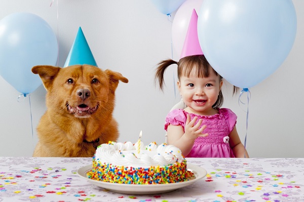 Девочка и собака ждут торт